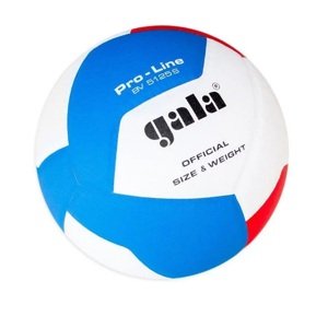 Volejbalový míč GALA Pro Line 5125S