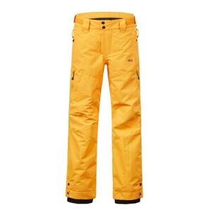 Picture Dětské lyžařské kalhoty  Time Žlutá 8
