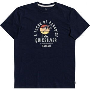 Quiksilver QUIET HOUR SS Pánské triko, Tmavě modrá,Bílá, velikost S