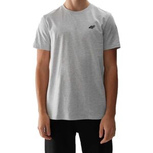 4F T-SHIRT Pánské tričko, šedá, velikost