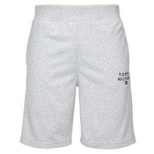 Tommy Hilfiger SHORT Pánské šortky, šedá, veľkosť lg