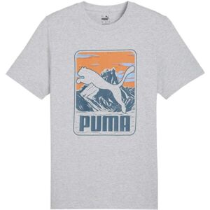 Puma GRAPHIC MOUNTAIN TEE Pánské triko, šedá, velikost