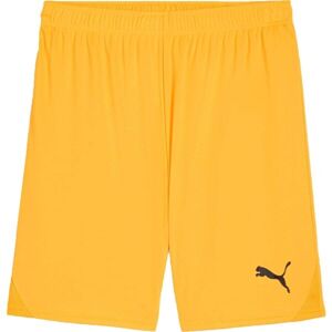 Puma TEAMGOAL SHORTS Pánské fotbalové šortky, oranžová, velikost