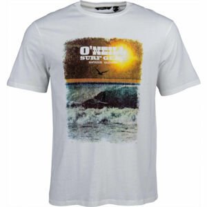 O'Neill LM SURF GEAR T-SHIRT šedá M - Pánské tričko