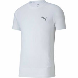 Puma EVOSTRIPE  TEE Bílá S - Pánské sportovní triko