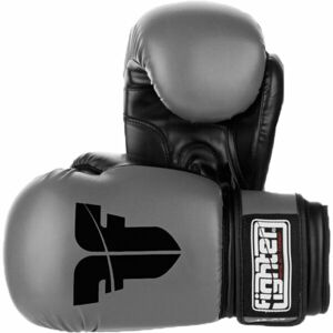 Fighter BASIC Boxerské rukavice, šedá, veľkosť 6