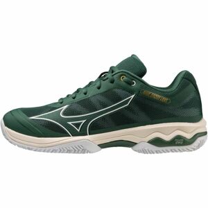 Mizuno WAVE EXCEED LIGHT CC Pánská běžecká obuv, zelená, velikost 44.5