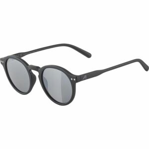 Alpina Sports SNEEK Sluneční brýle, černá, veľkosť UNI